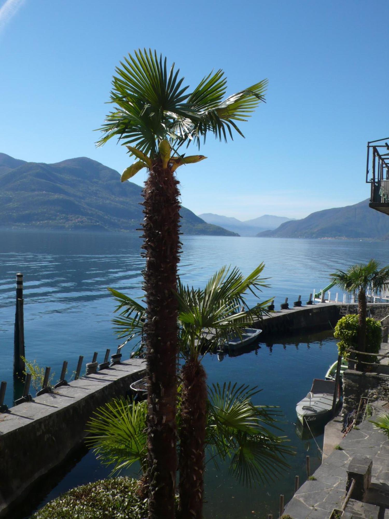 Art Hotel Ristorante Posta Al Lago Ronco sopra Ascona Exterior foto